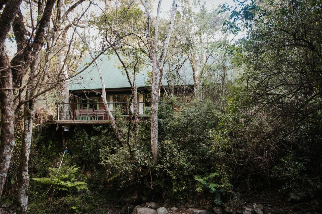 Rockwood Karkloof Forest Lodge & Mountain Cabin Karkloof Nature Reserve Exterior photo